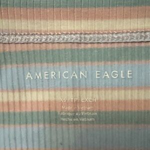 American Eagle Striped Blue and Pink Crop Top